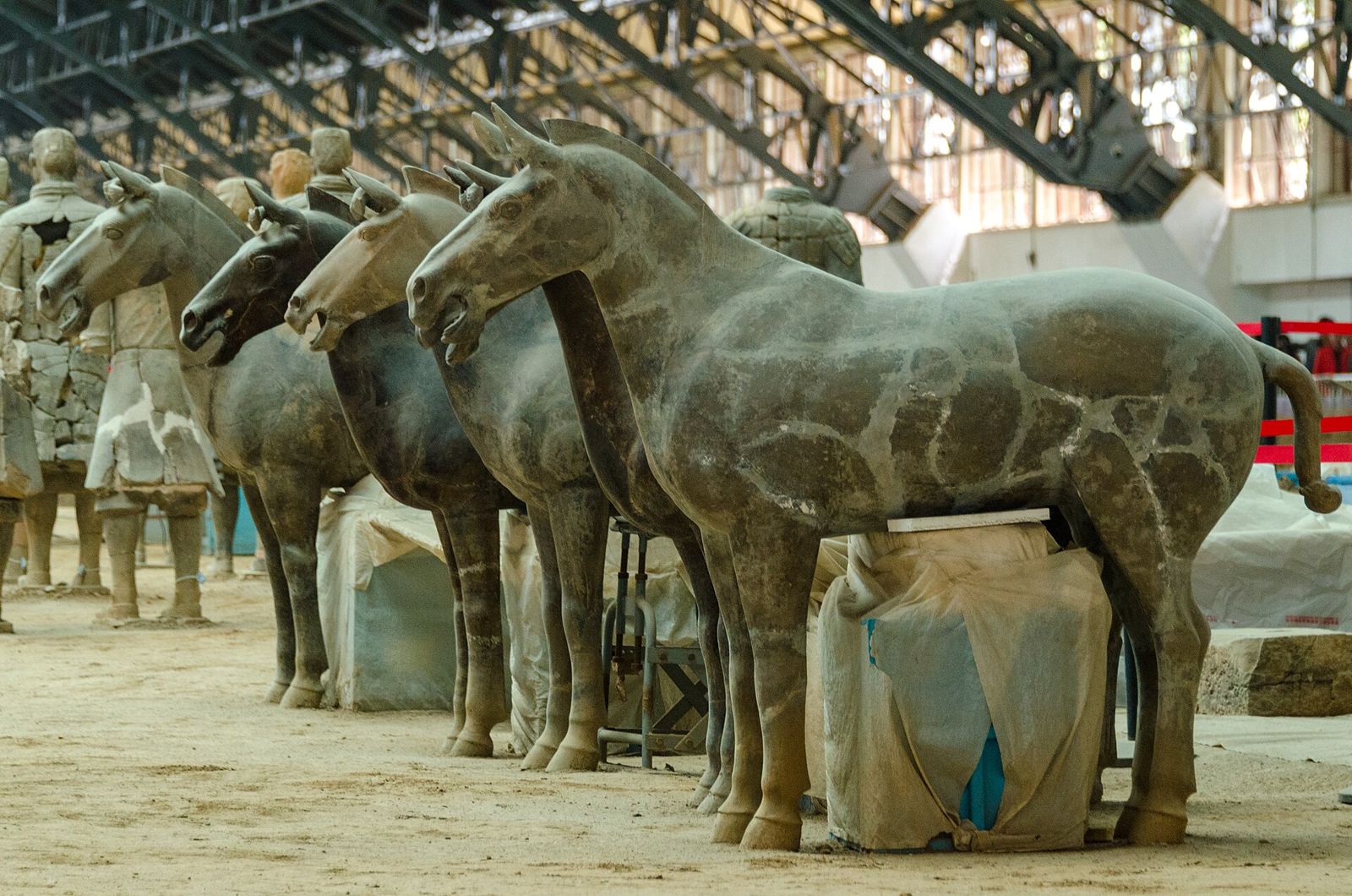 Terracotta horses at the Qin Terracotta Army museum in Xi'an.